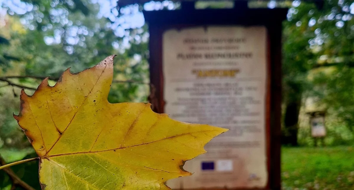Wiadomości, Zabytkowy unijnym wsparciem Wkrótce ruszy rewitalizacja perełki gminy Ustronie Morskie - zdjęcie, fotografia