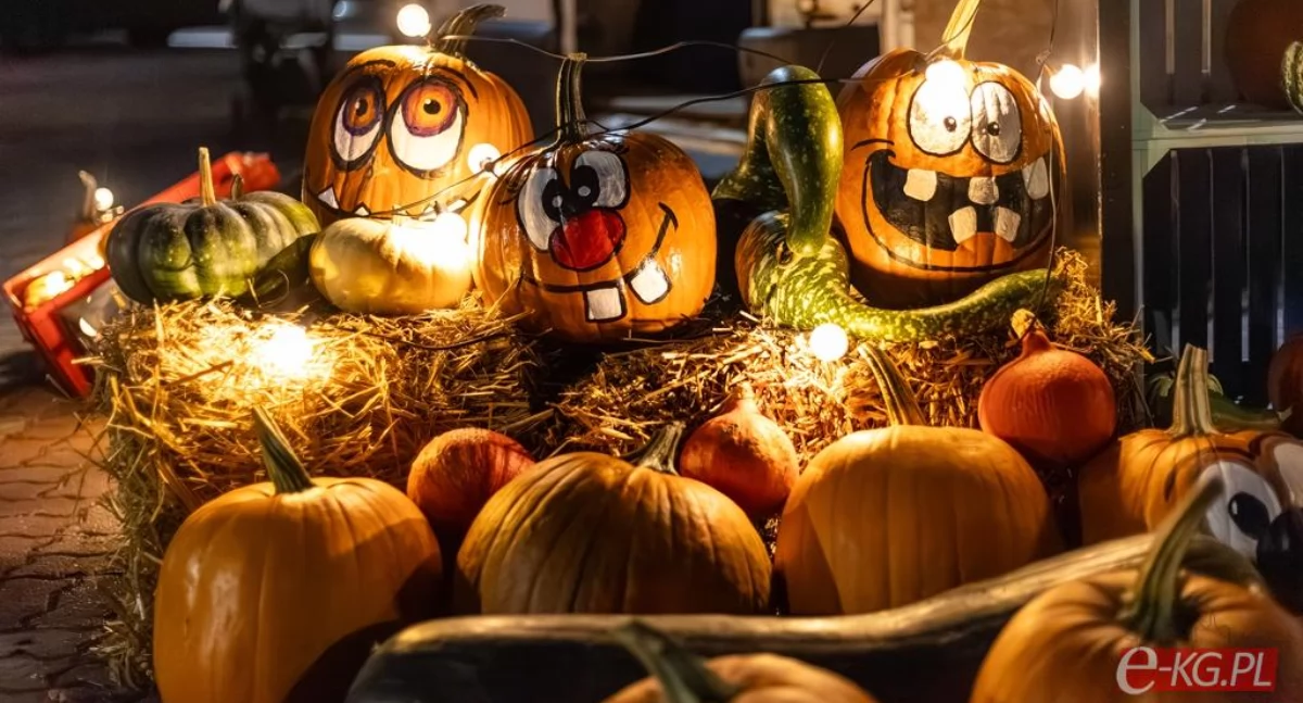 Wiadomości, Gdzie razem Night Market Szykuje halloweenowa edycja niespodziankami - zdjęcie, fotografia