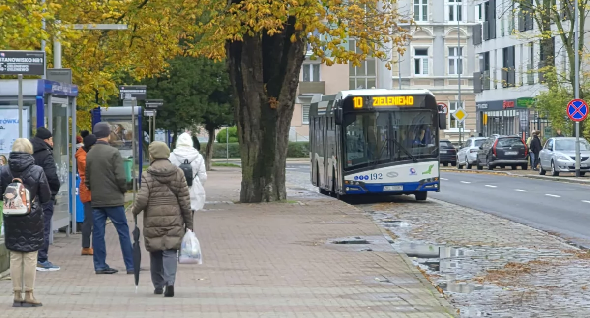 Wiadomości, dojechać cmentarz Dodatkowe autobusy Komunikacji Miejskiej - zdjęcie, fotografia