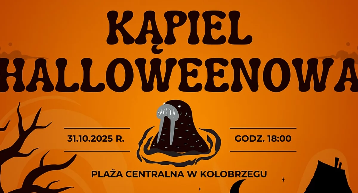 Wiadomości, Halloween kołobrzeskim morsami - zdjęcie, fotografia