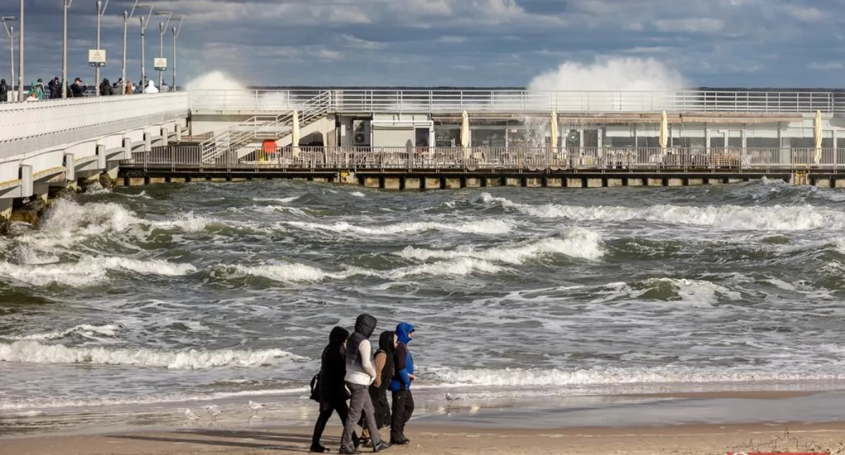 Wiadomości, Silny wiatr regionie Porywy - zdjęcie, fotografia