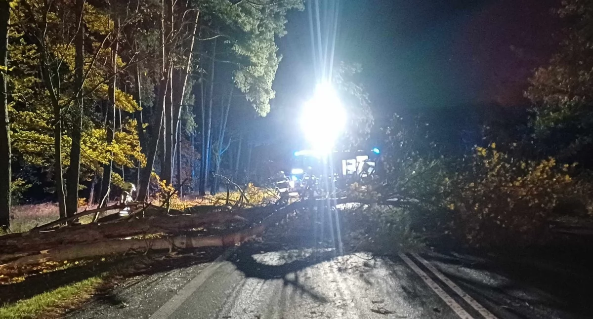 Straż Pożarna, Region wichurze Powalone drzewa zniszczone interwencji strażaków - zdjęcie, fotografia