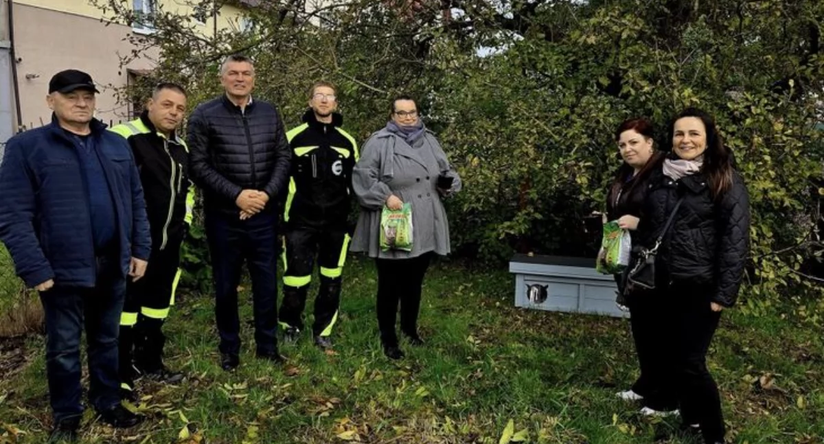 Wiadomości, Domki bezdomnych kotów Ustroniu Morskim Wspaniały lokalnego przedsiębiorcy - zdjęcie, fotografia