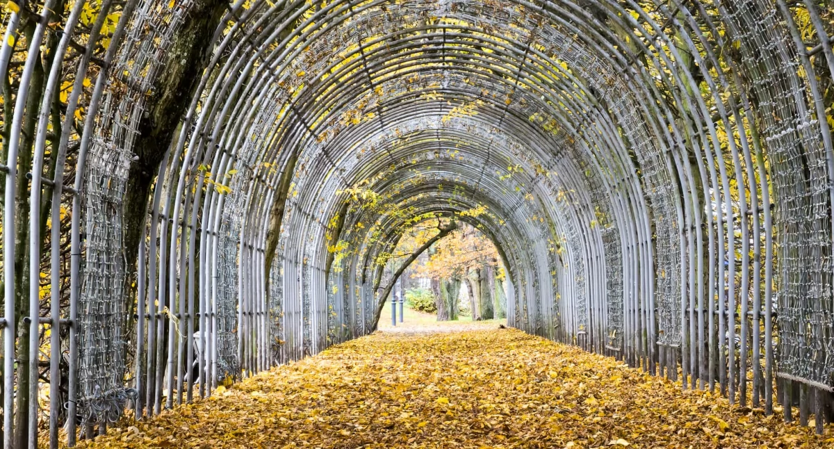 Wiadomości, wykona rewitalizację Bindaża Grabowego Miasto szuka wykonawcy - zdjęcie, fotografia