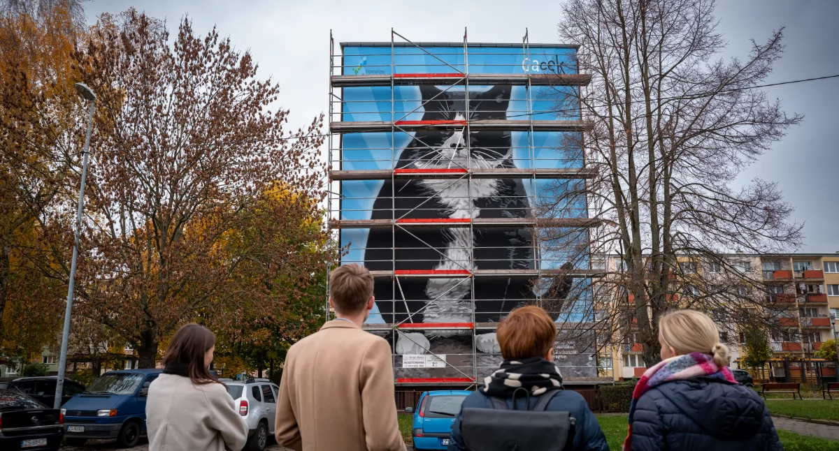 Wiadomości, Ekologiczne murale Pomorzu Zachodnim Wkrótce ruszą prace Kołobrzegu - zdjęcie, fotografia