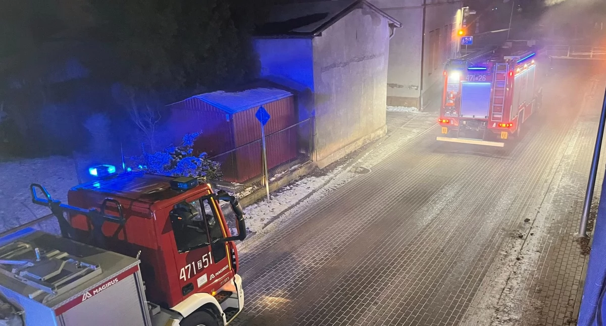 Straż Pożarna, płonącego komina buchał ogień Strażacy porę zapobiegli tragedii - zdjęcie, fotografia
