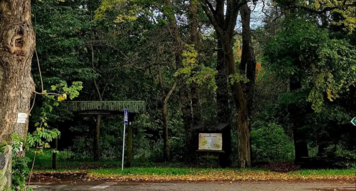 Wiadomości, Rewitalizacja historycznego parku coraz bliżej Gmina pozyskała dofinansowania - zdjęcie, fotografia