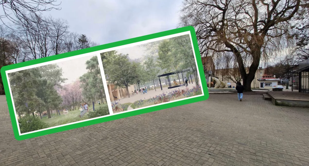 Wiadomości, bardzo Tarasy Kultury będą zielone Ponad tysiące nowych krzewów dawnym skwerze - zdjęcie, fotografia