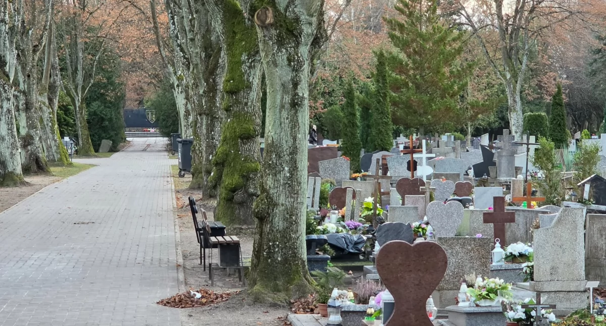 Wiadomości, cmentarzu Radny jasnych zasad wejściach nekropolię - zdjęcie, fotografia