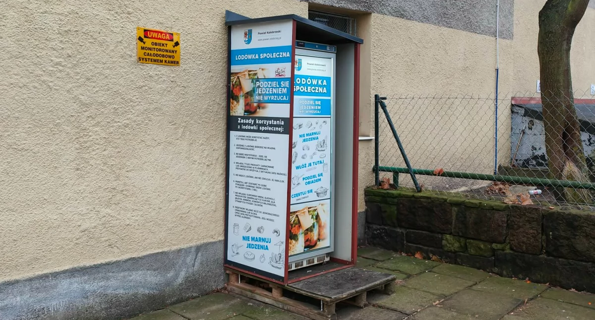 Wiadomości, Świąteczny nadmiar Podziel zamiast wyrzucać - zdjęcie, fotografia