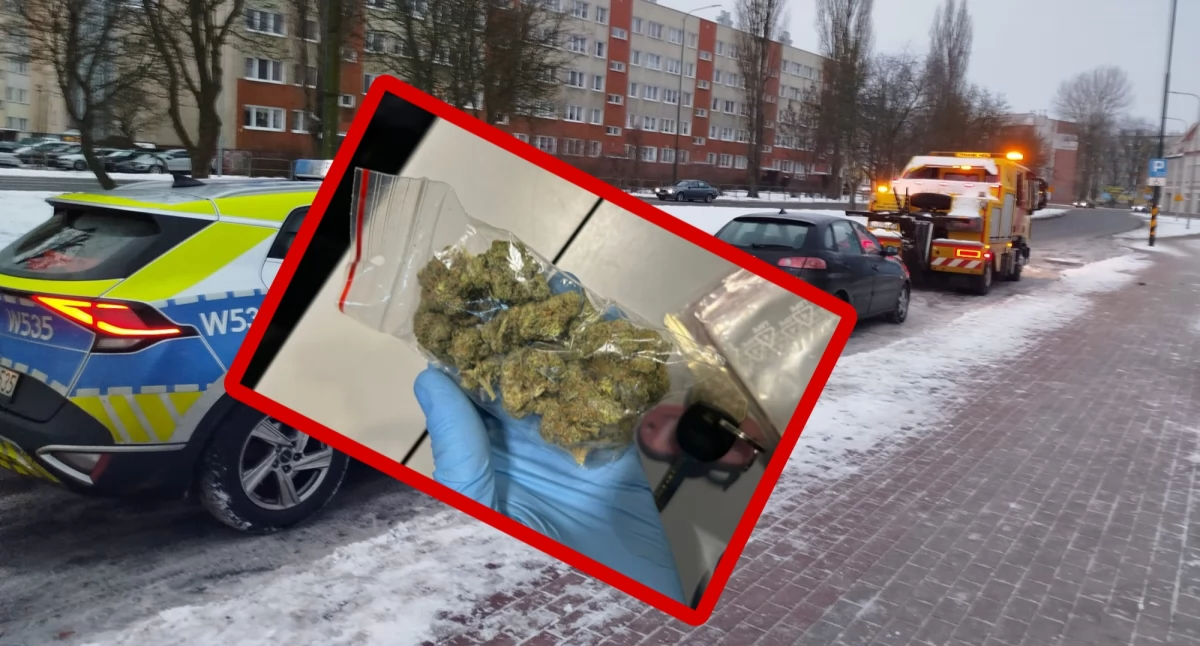 Kronika policyjna, narkotykach suszem aucie Wpadł podczas policyjnej akcji - zdjęcie, fotografia