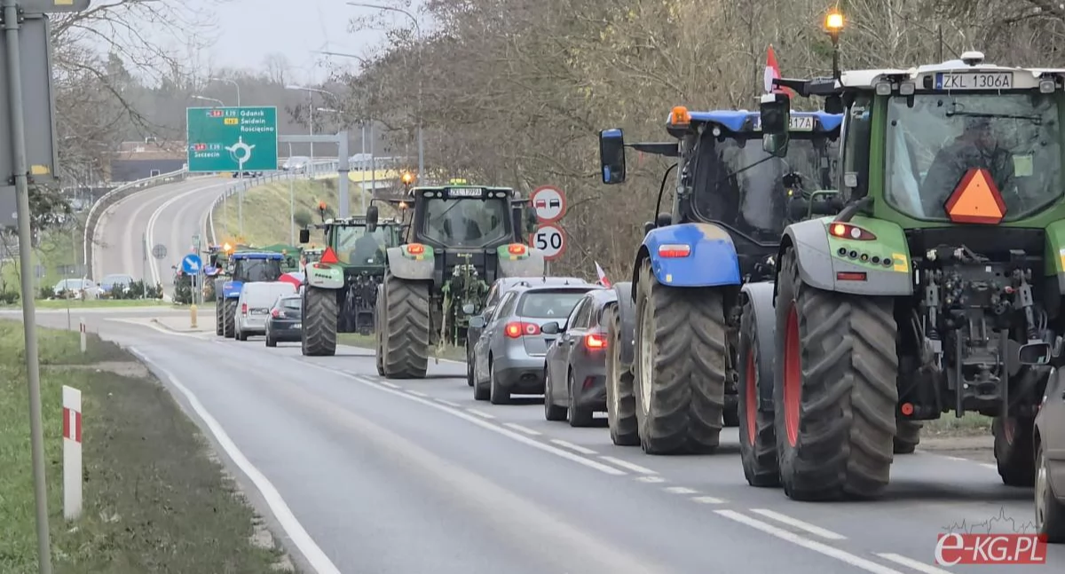 Wiadomości, Rolnicy regionu pojechali Warszawy Protest także - zdjęcie, fotografia