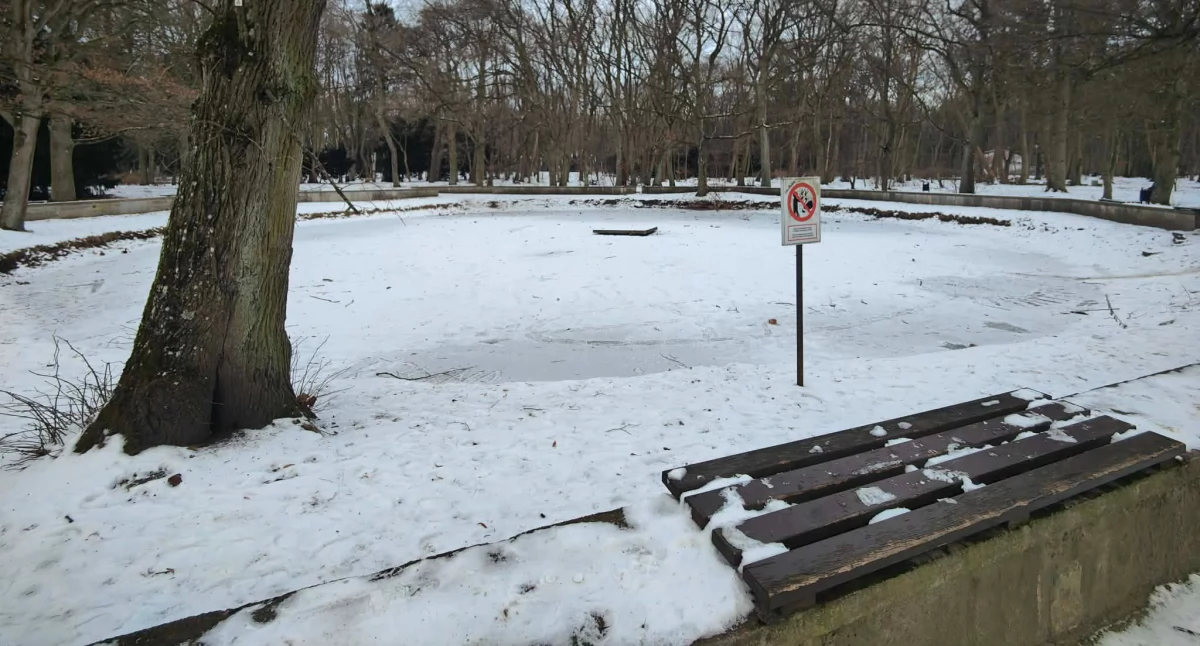 Wiadomości, Miasto zakres (nie)spadają Trzeci przetarg rewitalizację Parku Szarmacha - zdjęcie, fotografia