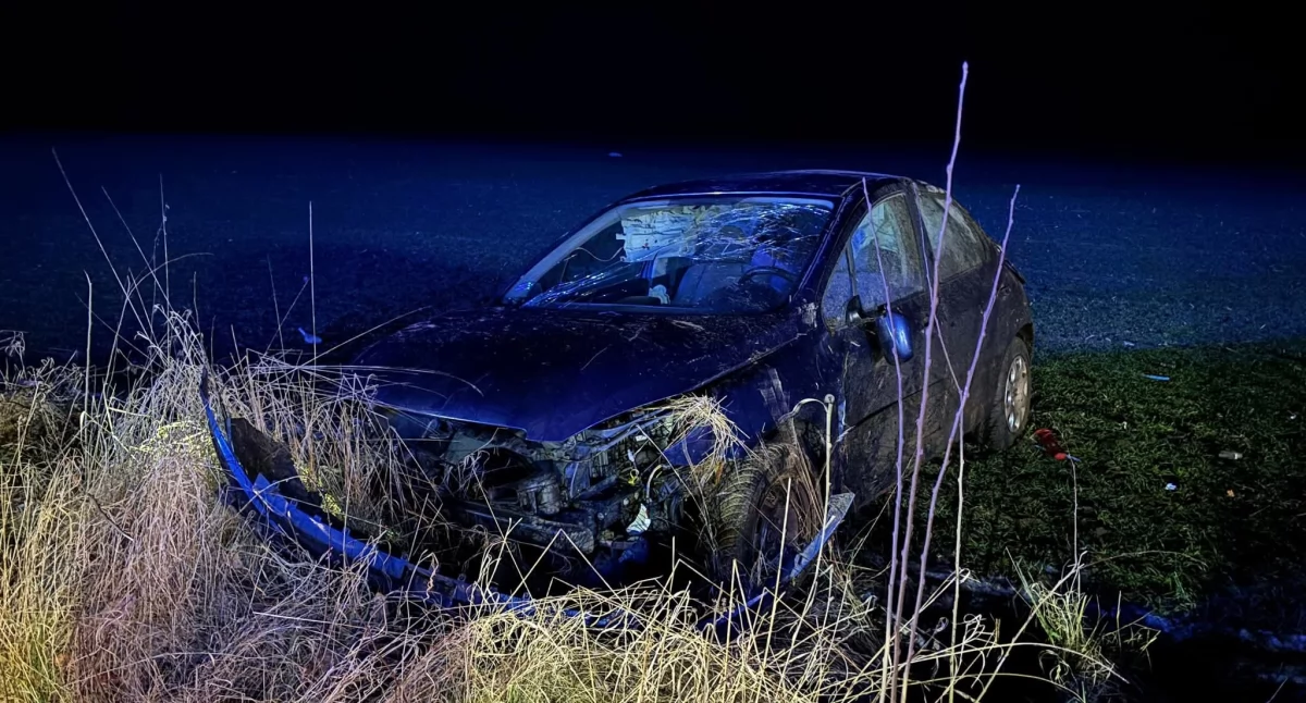 Wiadomości, Dachował potem porzucił amfetaminie latek rękach policji - zdjęcie, fotografia