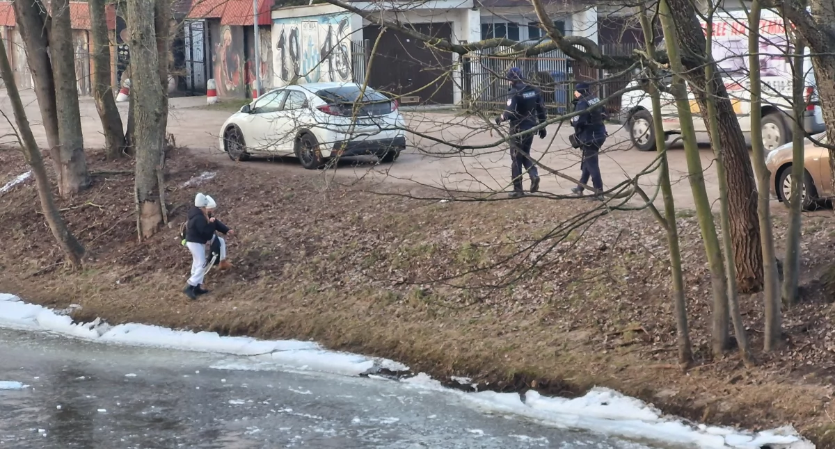Wiadomości, Dzieci bawiły kruchym lodzie - zdjęcie, fotografia