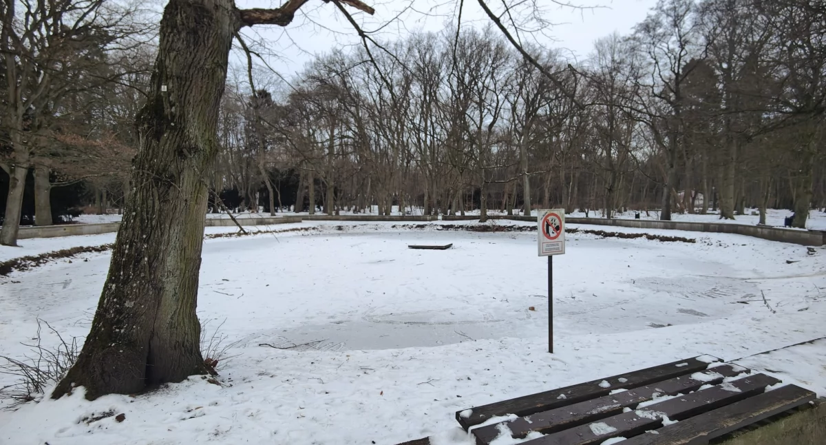 Wiadomości, szansa rozstrzygniecie przetargu więcej Szarmacha - zdjęcie, fotografia