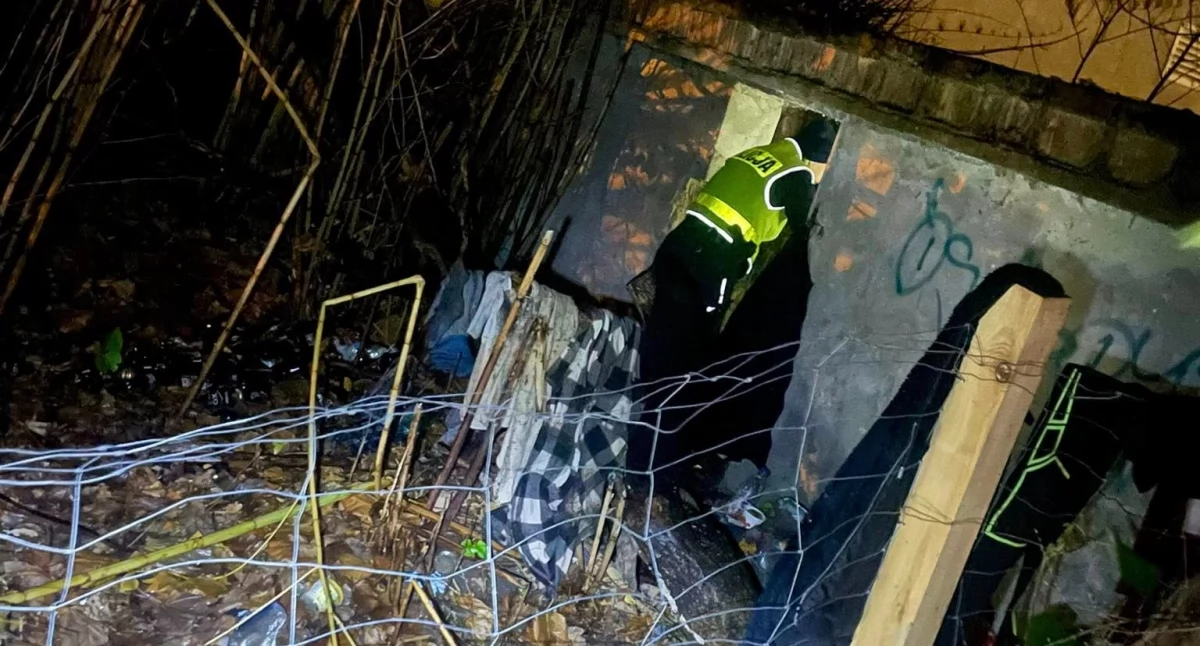 Wiadomości, Mróz wciąż groźny Policja patroluje miasto sprawdza zwierząt - zdjęcie, fotografia