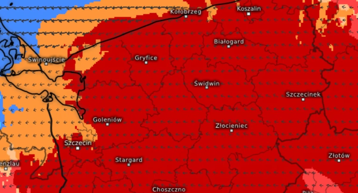 Wiadomości, Gołoledź ponownie sparaliżuje region alert trzeciego stopnia - zdjęcie, fotografia