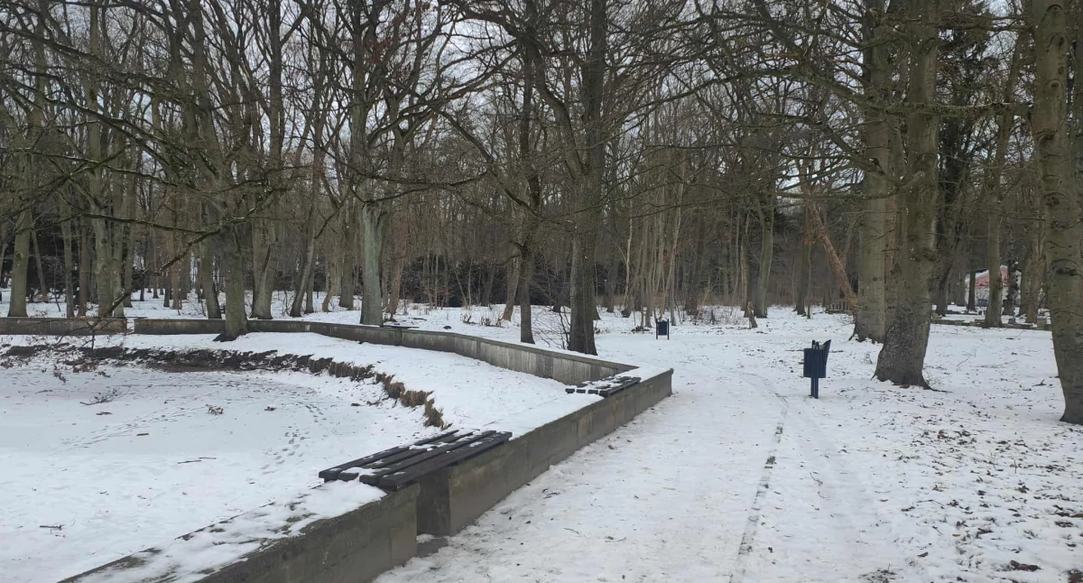 Wiadomości, Przetarg rozstrzygnięty Miasto zapłaci rewitalizację Parku Szarmacha - zdjęcie, fotografia
