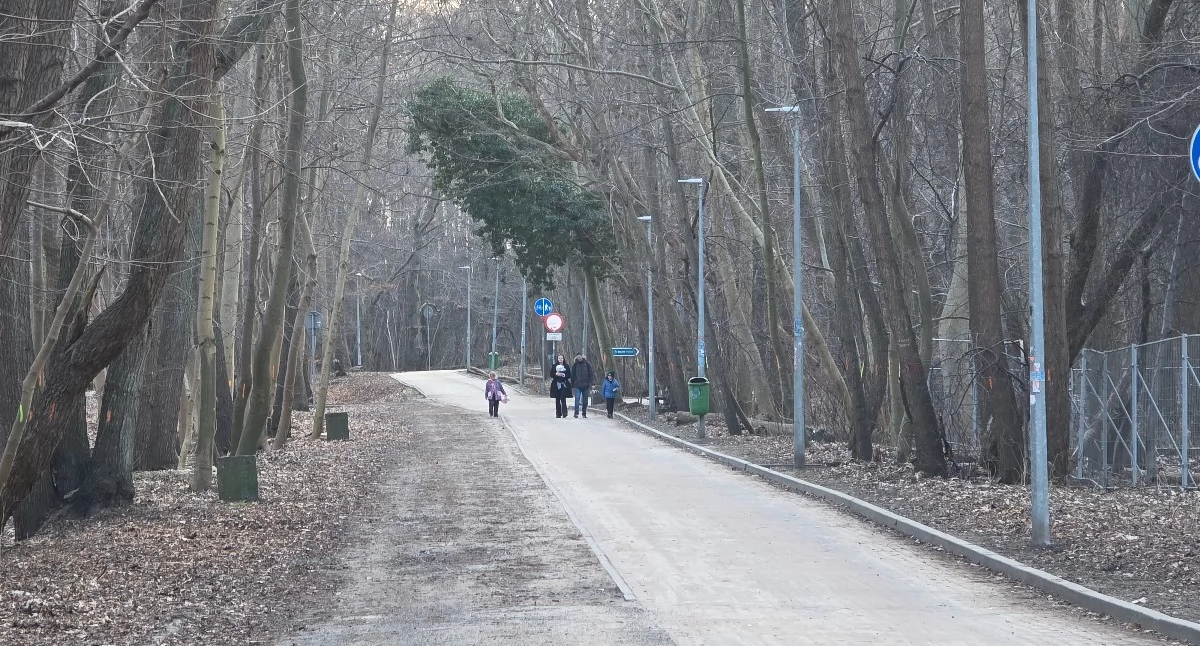 Wiadomości, Ponad nowych apartamentów Dzielnicy Zachodniej Miasto ciężkiego sprzętu szkołach - zdjęcie, fotografia