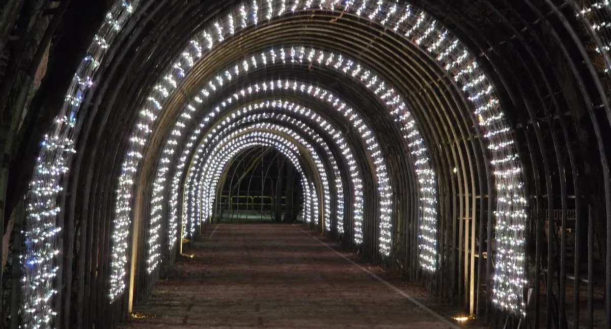 Wiadomości, Wróciła iluminacja Bindaża Grabowego - zdjęcie, fotografia