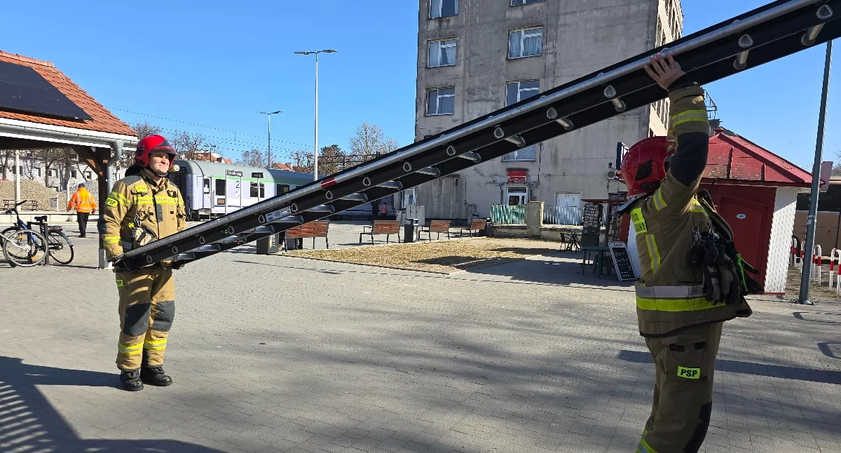 Straż Pożarna, Silniejszy wiatr Kołobrzegu Pierwsze interwencje strażaków - zdjęcie, fotografia