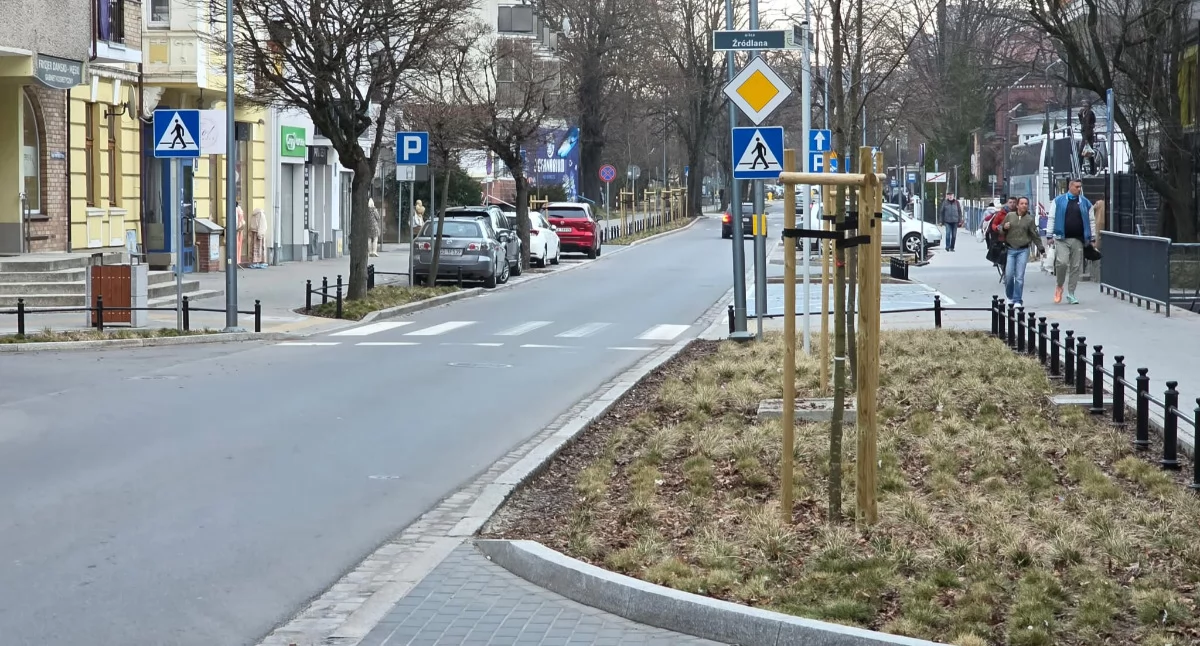 Wiadomości, mieście pojawią pomarańczowe tulipany Ponad sztuk zakwitnie tylko miejscu - zdjęcie, fotografia