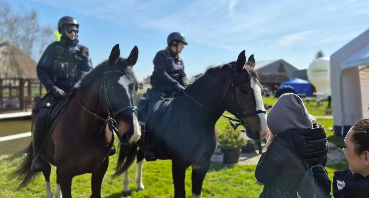 Wiadomości, Policyjne konie ulicach Kołobrzegu Patrol wzbudził ogromne zainteresowanie - zdjęcie, fotografia