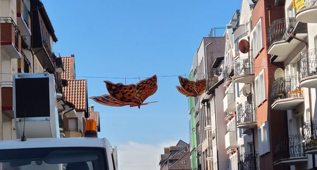 Wiadomości, Motyle testach Wszystko przez przejazdy śmieciarek - zdjęcie, fotografia