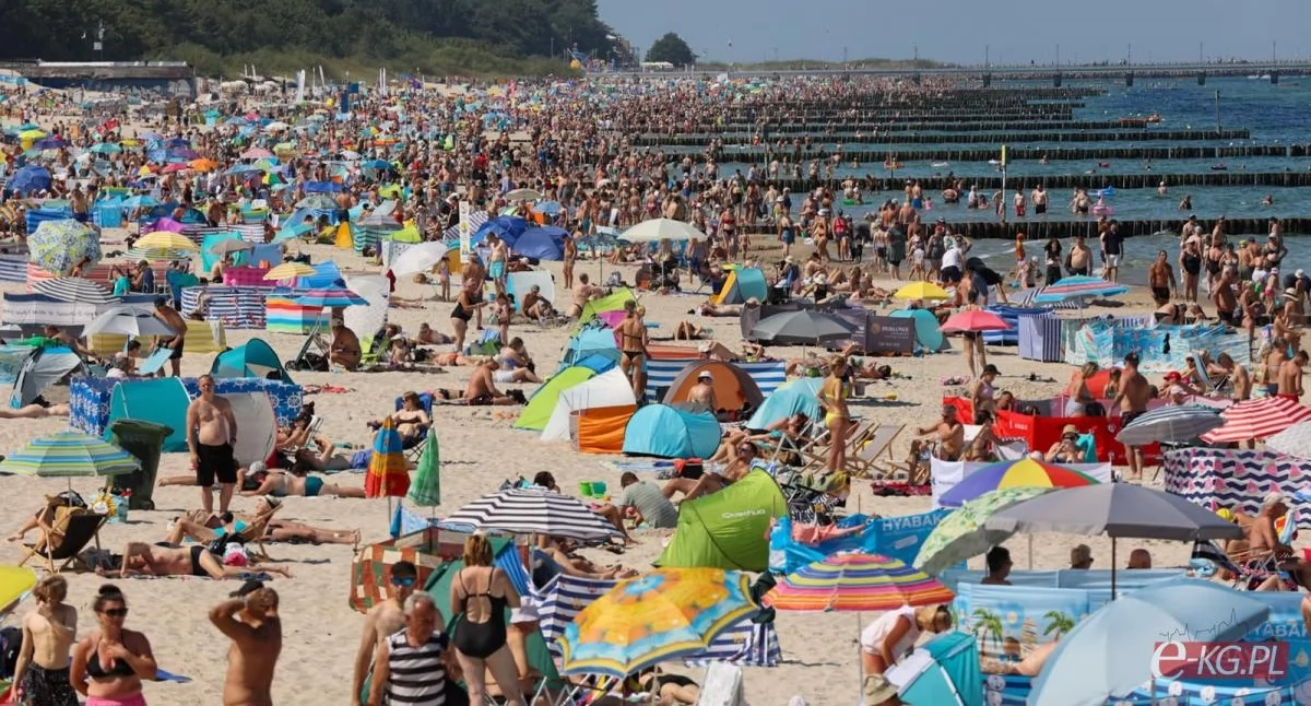 Wiadomości, Miasto wydzierżawi plaże setki leżaków koszy plażowych - zdjęcie, fotografia