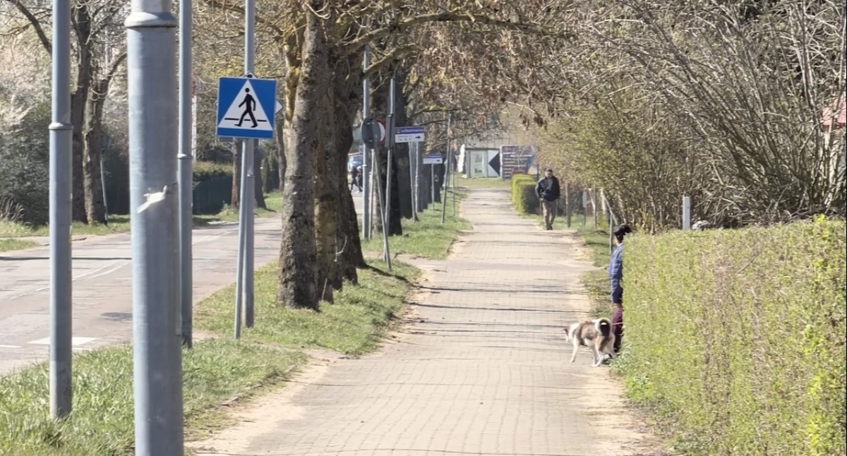 Wiadomości, Będzie remont ulicy ciąg rowerowo pieszy Budzistowa - zdjęcie, fotografia