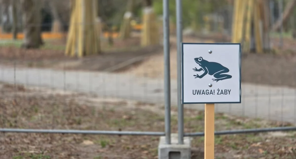 Wiadomości, Powstanie ochrony siedliska płazów Parku Szarmacha Eksperci wolontariusze urzędnicy rozmowach - zdjęcie, fotografia