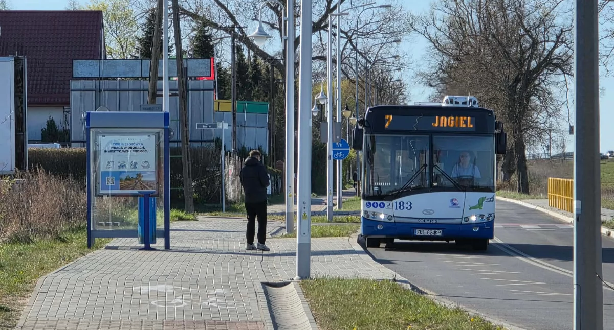Wiadomości, Autobusy częściej stronę Galerii Karuzela Dodatkowe kursy - zdjęcie, fotografia