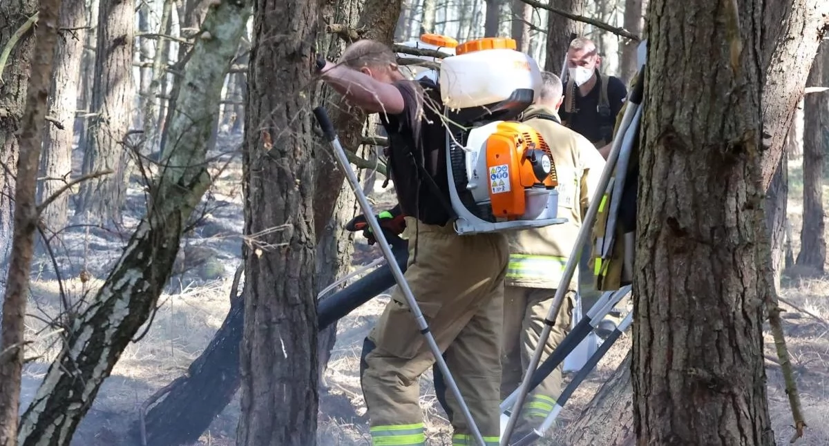 Wiadomości, gaszenie dużego pożaru morzem miejscu pracuje kilkudziesięciu strażaków - zdjęcie, fotografia
