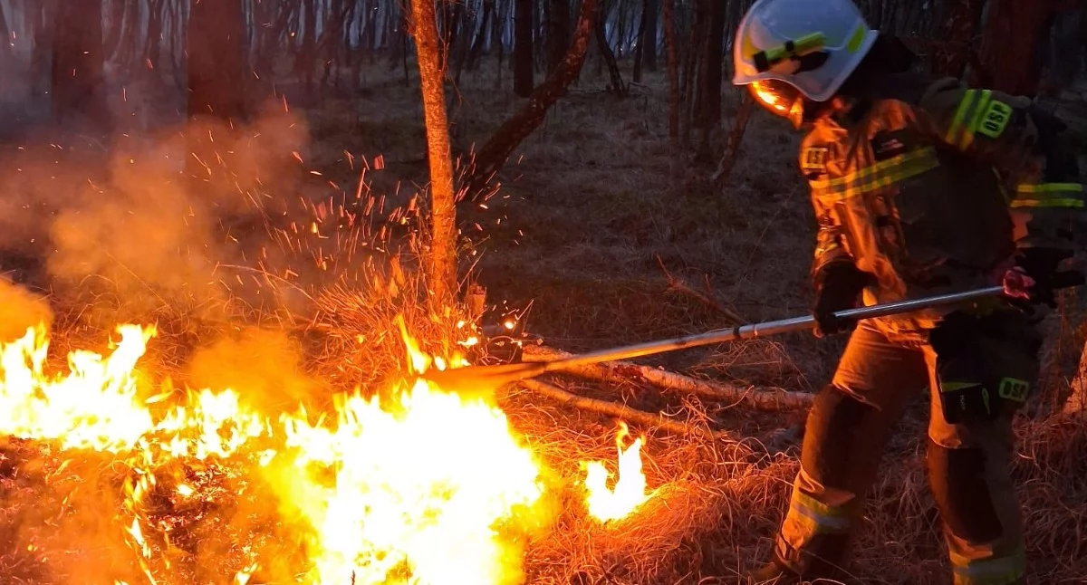 Wiadomości, Duży pożar Kołobrzegiem Walka żywiołem kolejny dzień - zdjęcie, fotografia