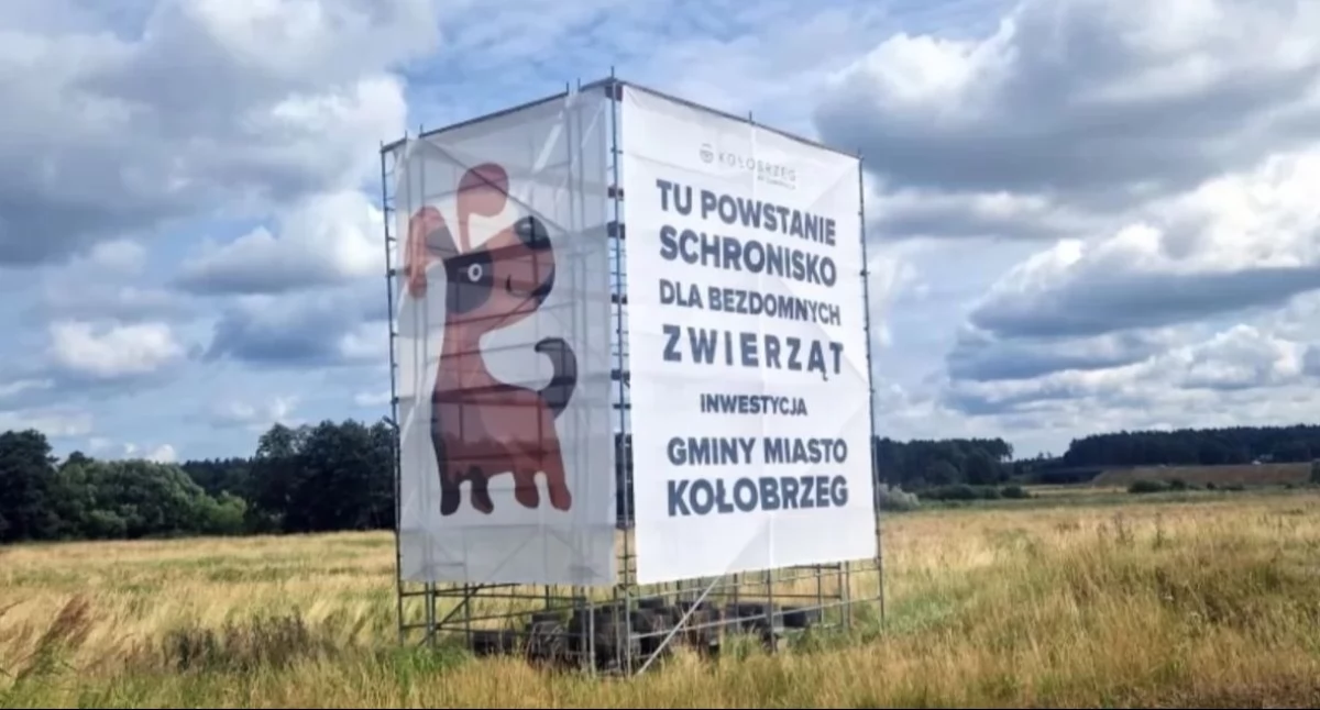 Wiadomości, będzie nazywać schronisko Ruszył konkurs mieszkańców - zdjęcie, fotografia