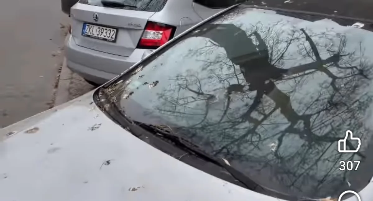 Wiadomości, Warszawka kontra Mieszkańcy murem marianami - zdjęcie, fotografia