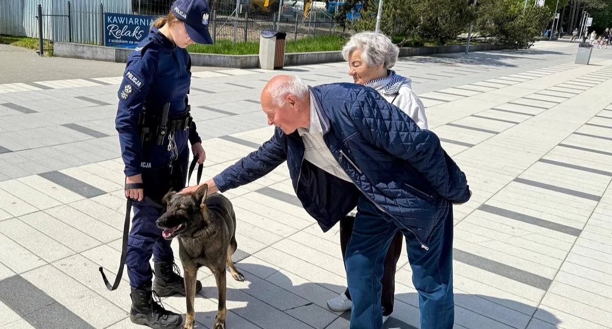 Wiadomości, Serwal Macher ponownie ulicach miasta Czteronożni policjanci rozpoczęli patrole - zdjęcie, fotografia