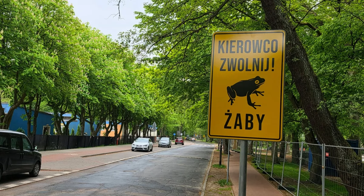 Wiadomości, Wracają prace Parku Szarmacha Będzie specjalne ogrodzenia codzienny monitoring - zdjęcie, fotografia