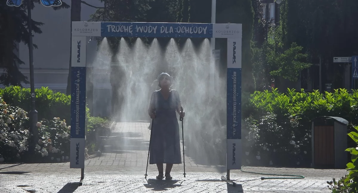 Wiadomości, Weekend znakiem ekstremalnych upałów znajdziesz zraszacze poidełka - zdjęcie, fotografia