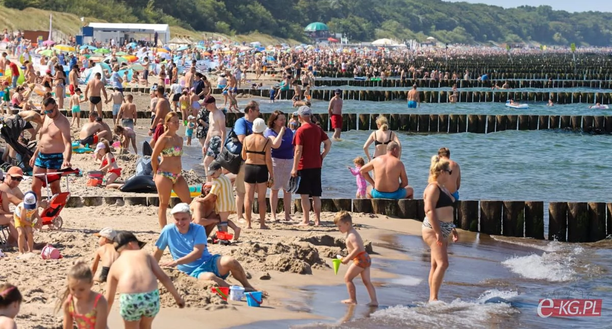 Wiadomości, Tydzień Kołobrzegu Sprawdzamy raport - zdjęcie, fotografia