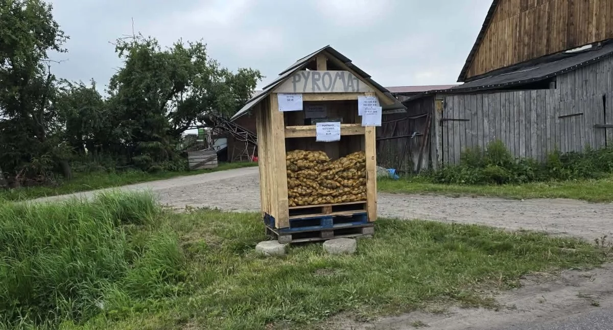 Wiadomości, drodze stanął pyromat Ziemniaki kupisz każdej porze - zdjęcie, fotografia