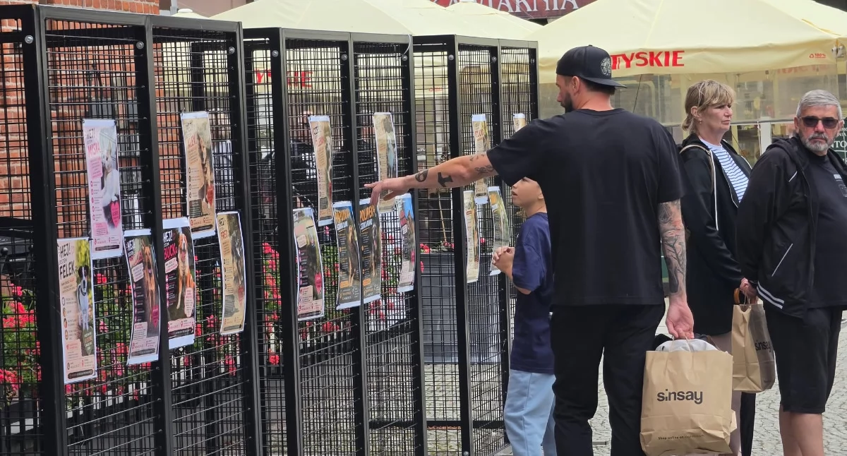 Społeczne, kupuj adoptuj” Podopieczni Schroniska pojawili plakatach ratuszu - zdjęcie, fotografia