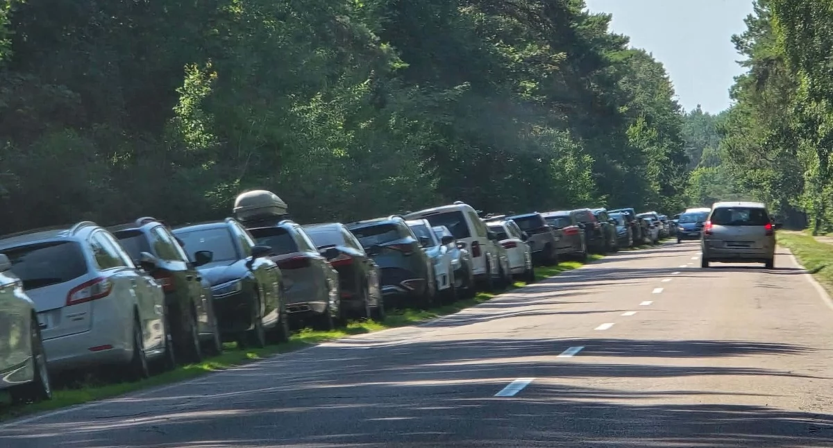 Wiadomości, Pogoda dopisała problem wrócił Samochody znów parkują wzdłuż nadmorskiej drogi - zdjęcie, fotografia