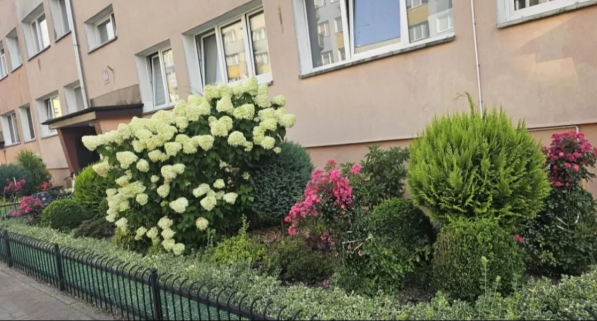 Wiadomości, Najpiękniejszy balkon przydomowy ogródek mieście Ruszyłą kolejna edycja konkursu - zdjęcie, fotografia