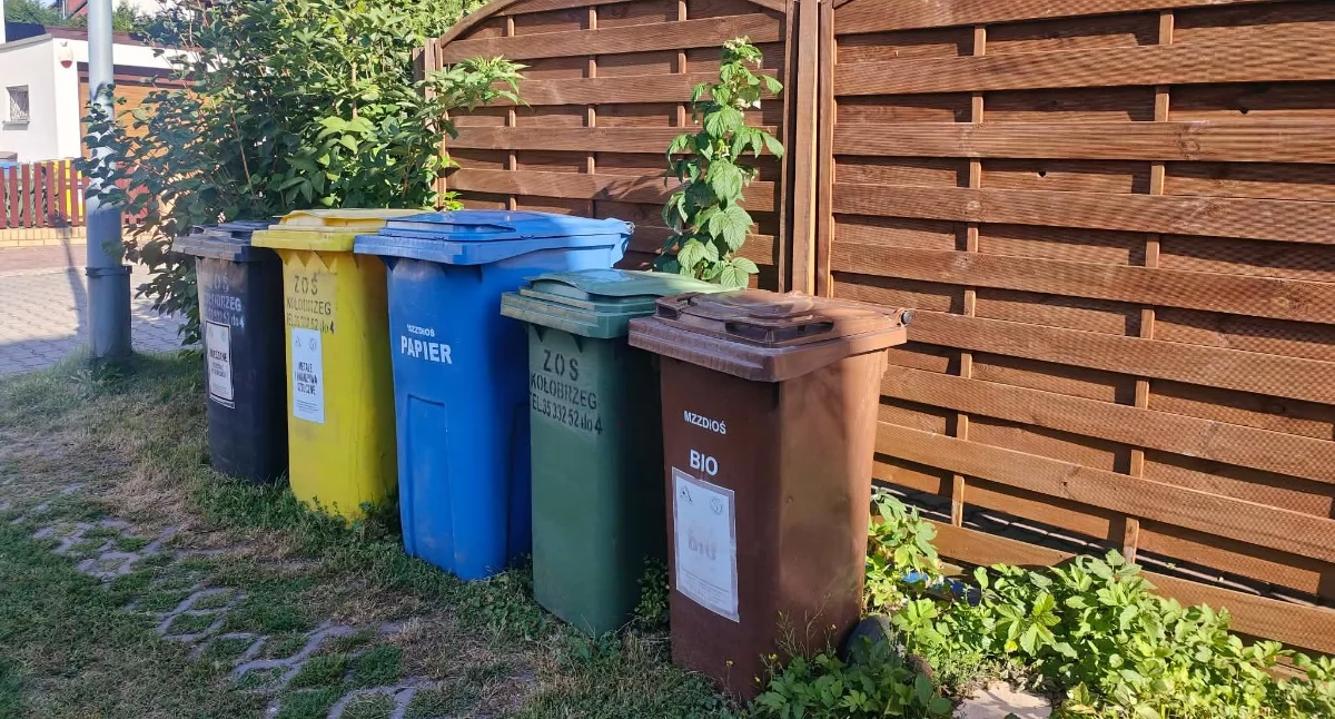 Wiadomości, Pusto tłoczno Śmieci pokazują wygląda tegoroczny sezon - zdjęcie, fotografia