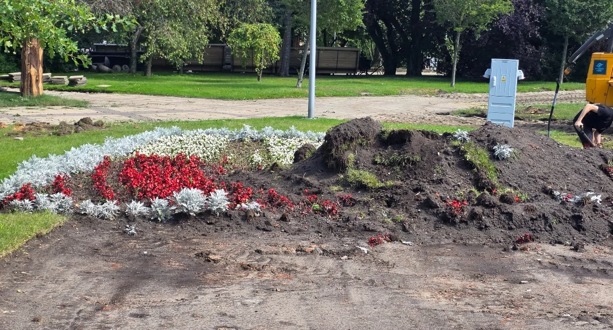 Wiadomości, Flaga kwiatów zniknęła skweru Czytelniczka można było uratować - zdjęcie, fotografia