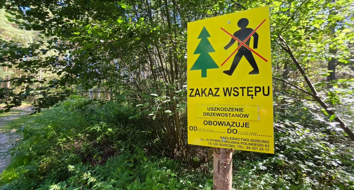 Wiadomości, Sezon grzyby powoli rozpoczyna jednak obowiązuje zakaz wstępu - zdjęcie, fotografia