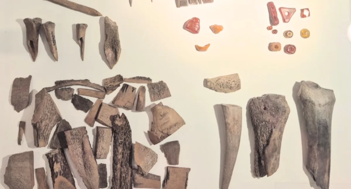 Historia, Średniowieczny Kołobrzeg lupą archeologów Będą wykłady naukowa szkoła Budzistowie - zdjęcie, fotografia
