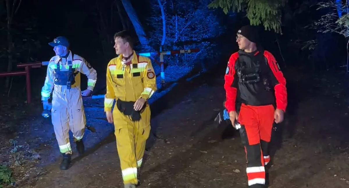Wiadomości, latek demencją zaginął Sianożętach Odnalazł niemal kilometrów dalej - zdjęcie, fotografia